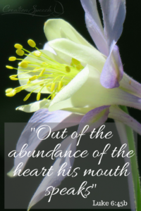 The gold anthers of the Colorado Columbine seem to illustrate good treasure (truth of God’s word) coming out of the heart to give glory to God