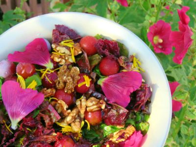 Hollyhock and Calendula blossoms add color to a salad