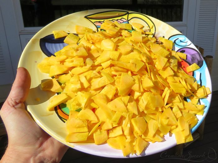 Yellow Carrot Slices, October 11, 2017, Elizabeth, CO