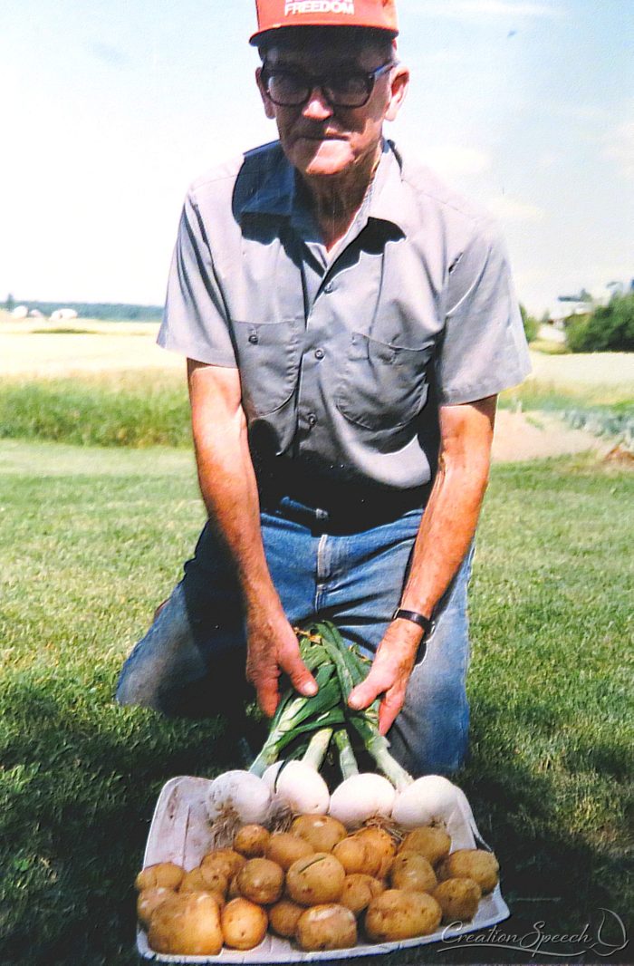 Grandpa loved God's provisions of asparagus, onions, potatoes and black walnuts