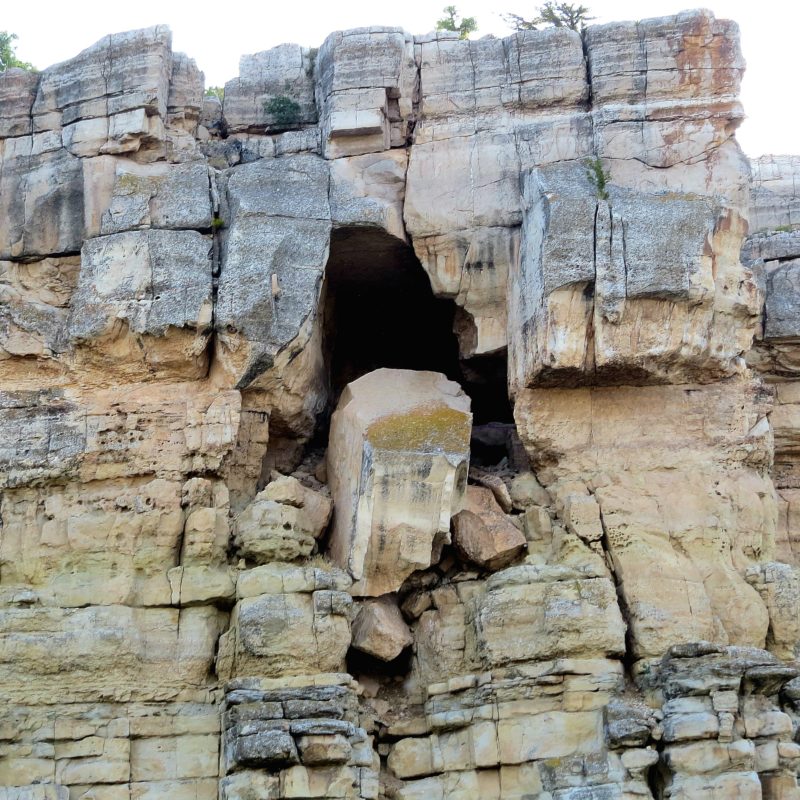 Early Permian Ervay Phosphoria, Wind river canyon, WY