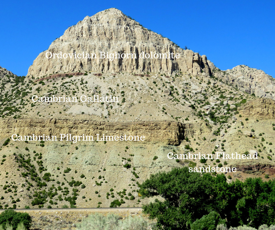 Ordovician Bighorn dolomite, Wind River Canyon, WY