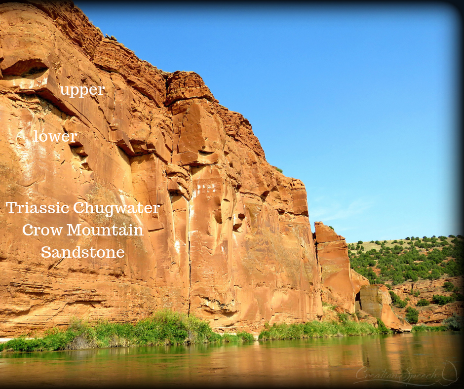 Triassic Chugwater Crow Mountain Sandstone, Thermopolis, WY