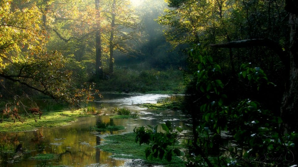 Misty Peaceful Scene in the Morning Light, Missouri Ozarks