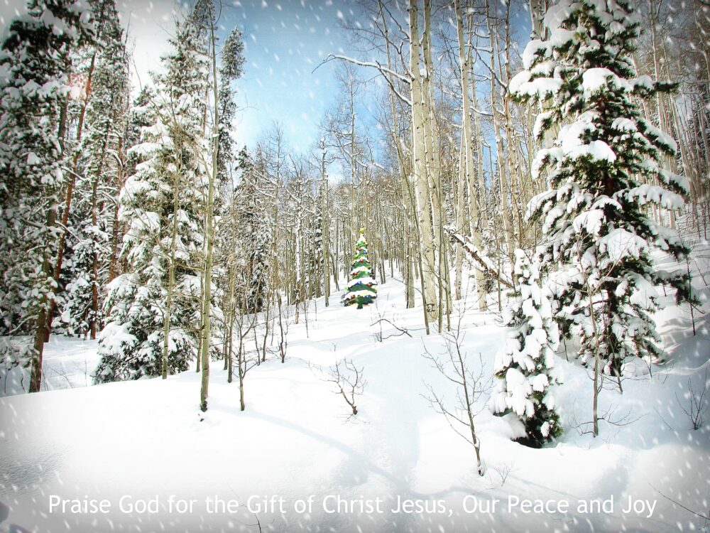 Winter scene is a metaphor of Peace and Joy, Beaver Creek, Colorado