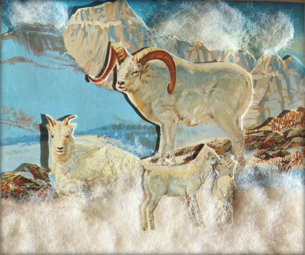 Ruby Clay Big Horn Sheep Card, January 25, 1991