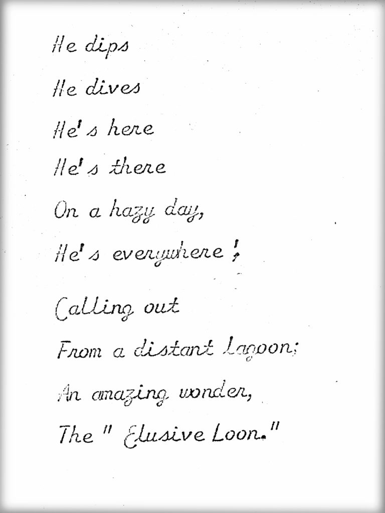 A loon is an amazing wonder, poem