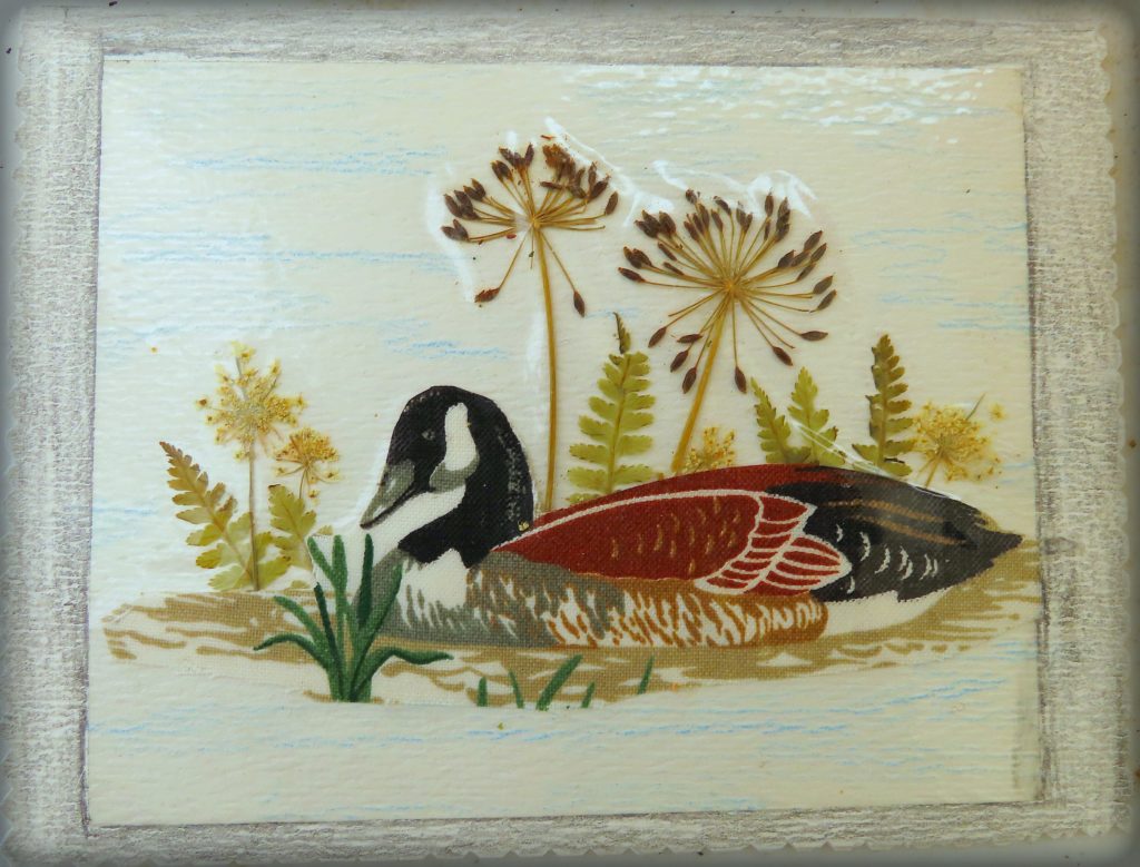 Ruby Clay's card with goose and dill, January 23, 1989