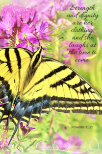 Two-Tailed Swallowtail on Rocky Mountain Bee plant shows confidence, dignity and bright colors