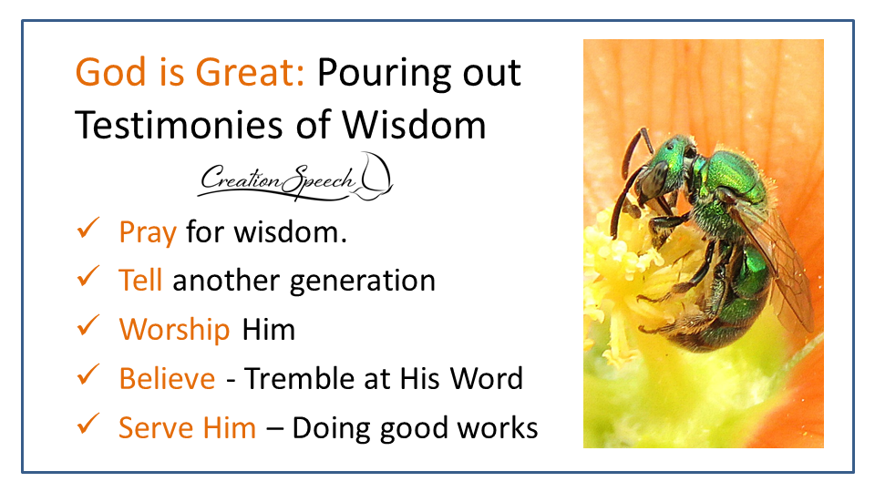 God pours out testimonies of wisdom, outline of our reponsibilities