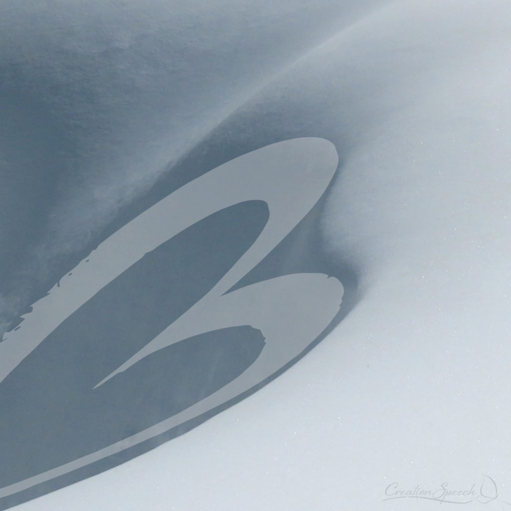 Heart-shape in the snow, Jim Creek Trail, CO