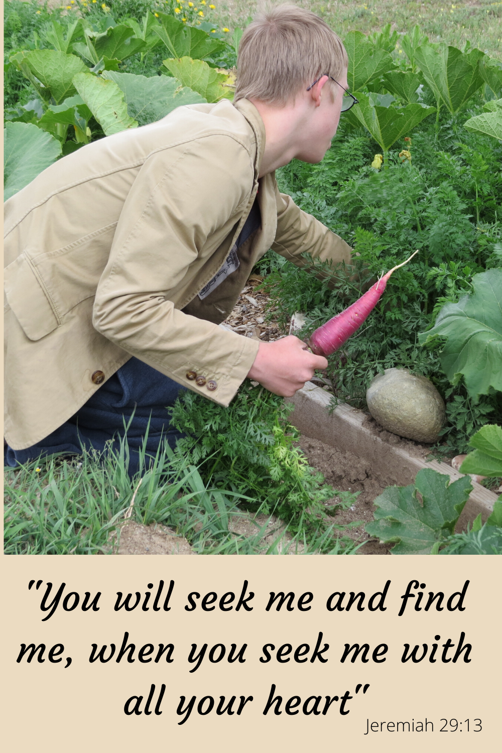 Boy reaches into a garden to find carrots and finds them