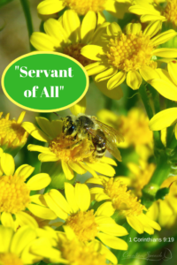 Wildflower illustrates giving to bee