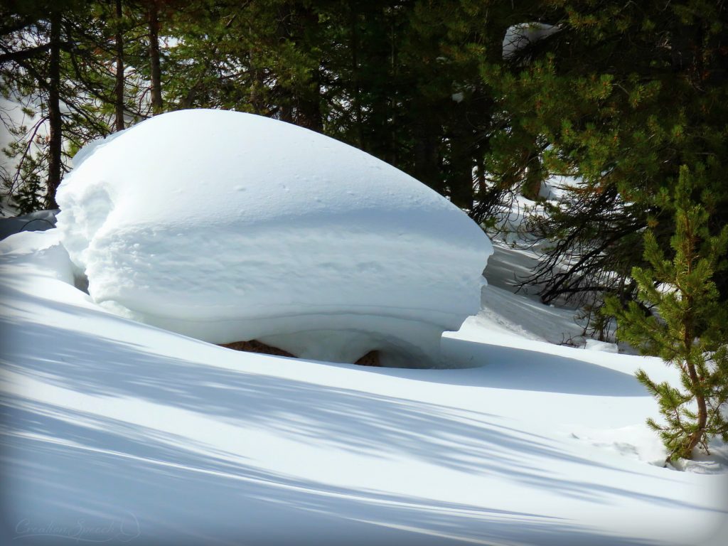 Snow-covered rock, Jim Creek Trail, CO, 2-27-19