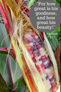 colorful painted hill corn on the cob look like jewels, lords people