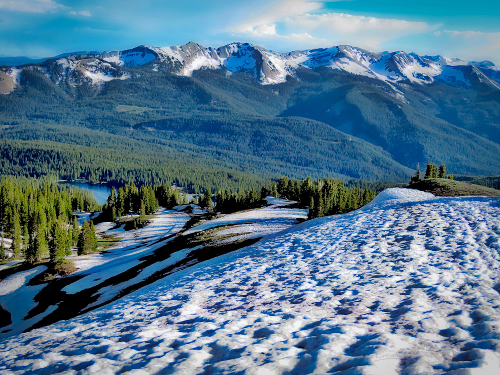 Snow-covered Scarp Ridge Trail, July 10, 2019