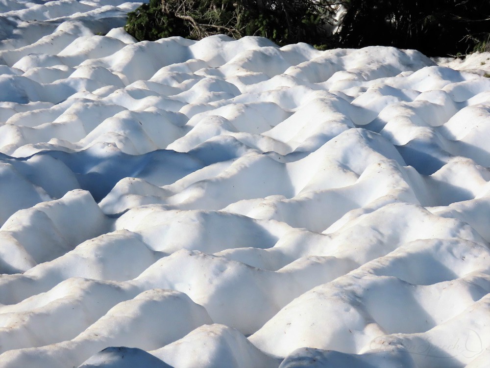 Unusual snow pattern on Scarp Ridge Trail