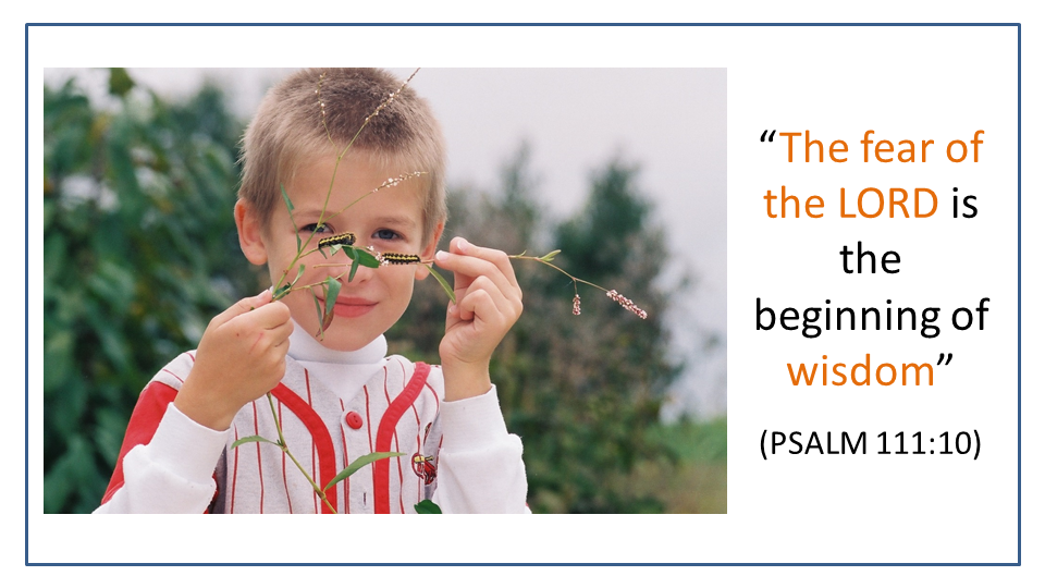 Boy holding caterpillars, learning to fear the LORD, beginning of wisdom