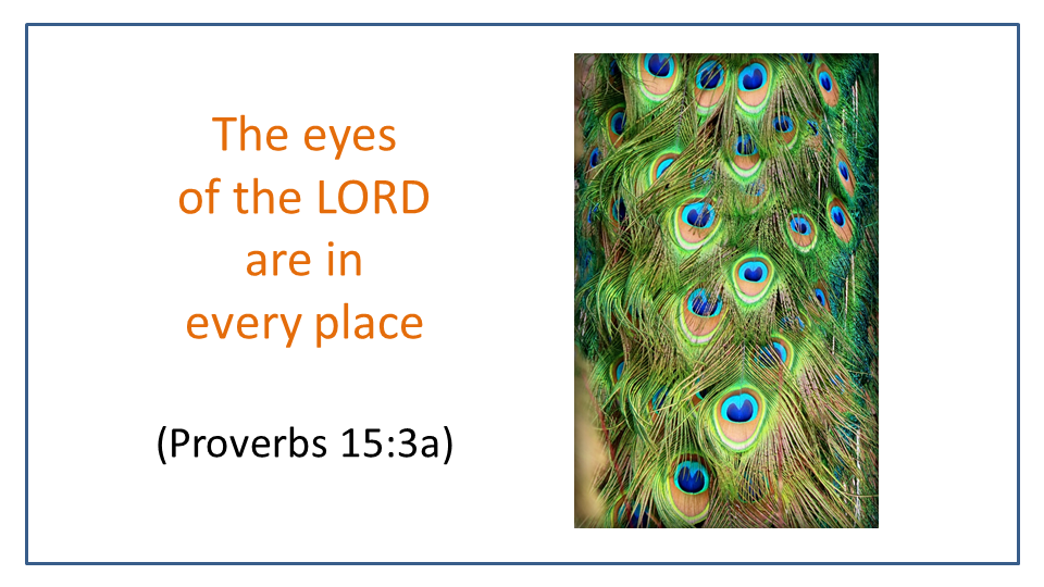 The eyes of the lord are everywhere, peacock feathers are reminder