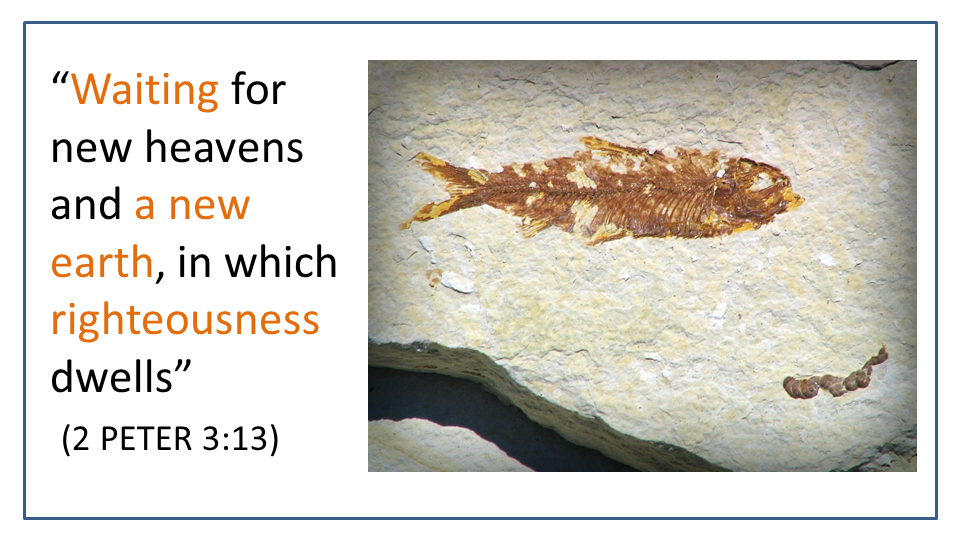 Herring fossil and feces illustrate God transformed the earth in the past, wait for new earth in future