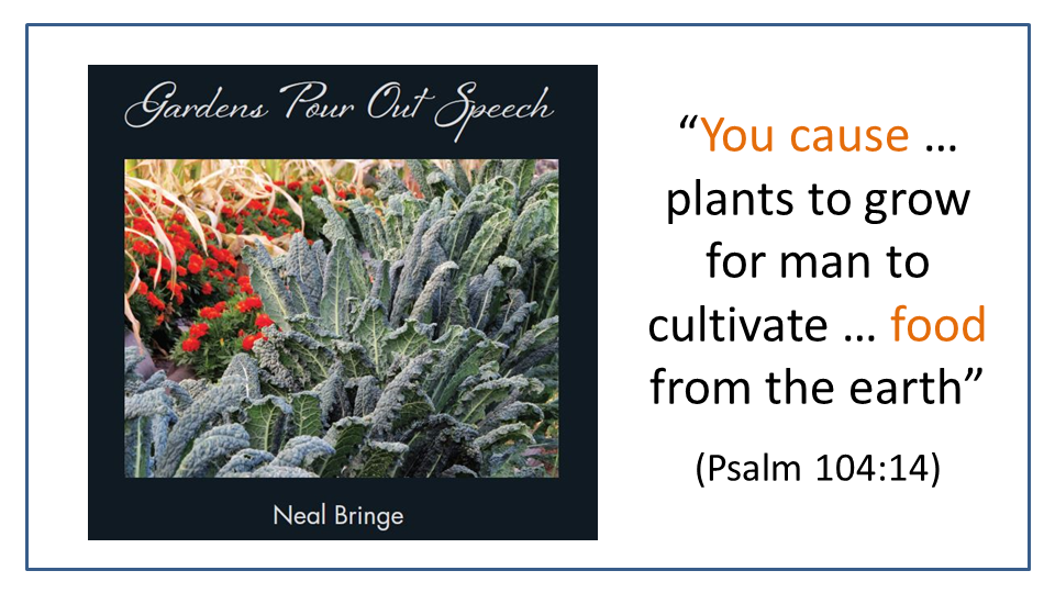 God causes plants to grow for food Psalm 104