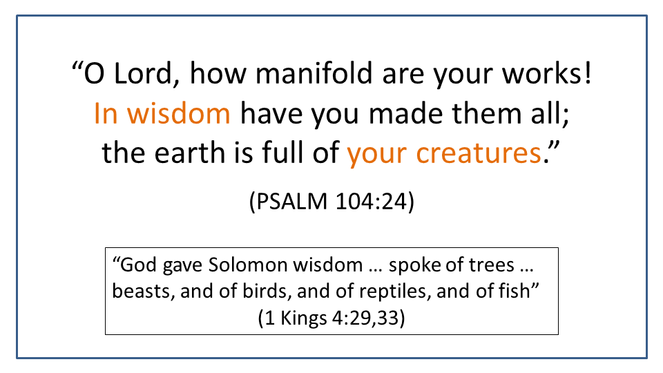 God made creatures in wisdom and wise solomon spoke of animals