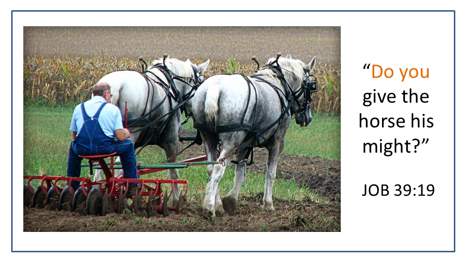 Horses pull man on plow illustrating might given by God