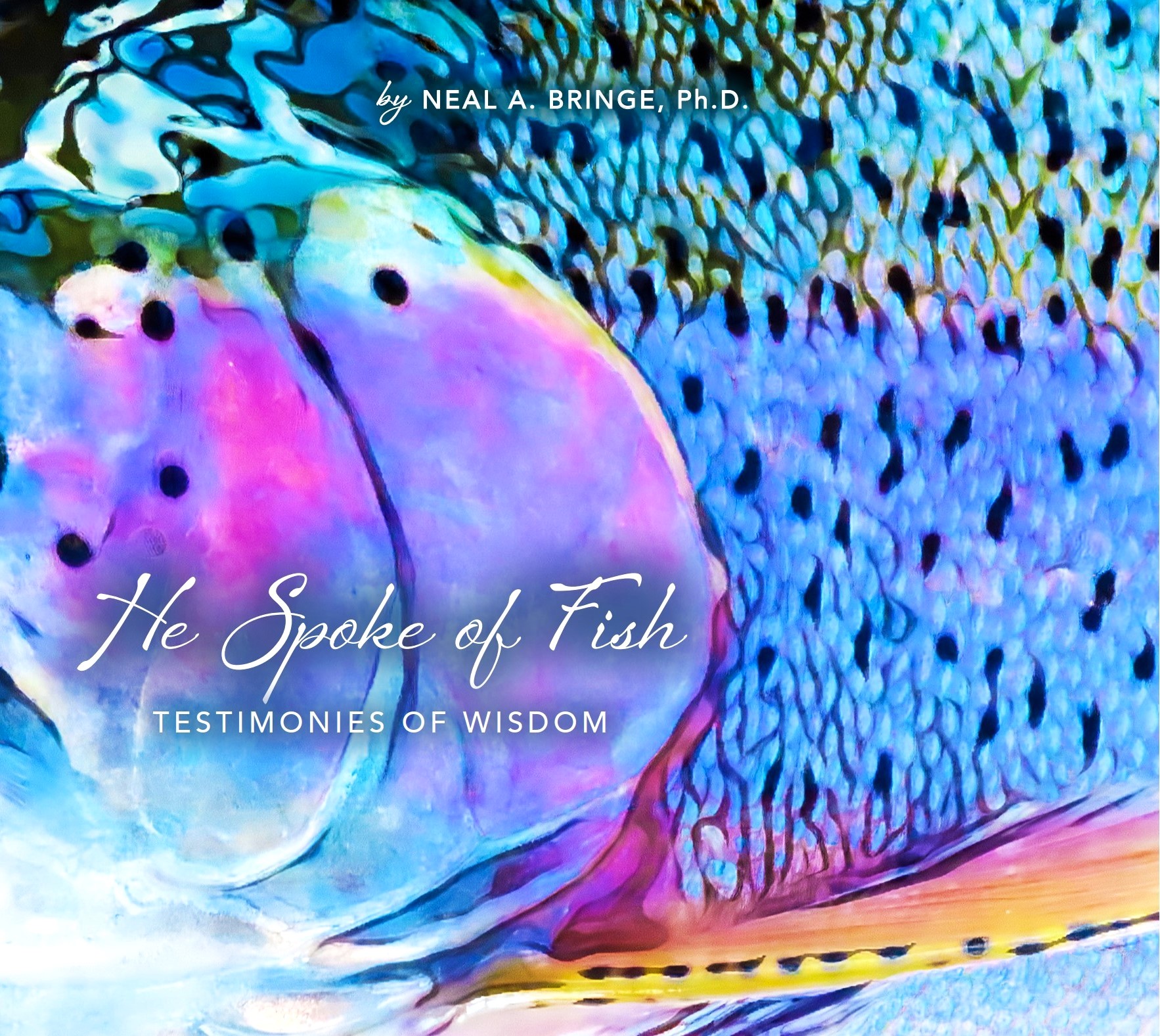 He Spoke of Fish Book Cover